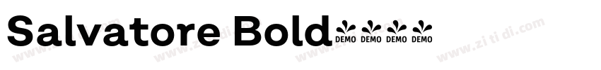 Salvatore Bold字体转换